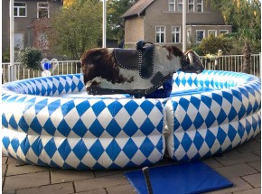 Bullriding Bayern