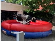 Bullriding (rotes Kissen)