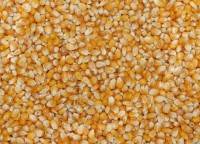 Popcorn Mais