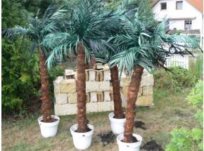 Palmtree decoration