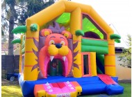 Bouncy Camelot with slide