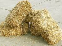 Bales of straw